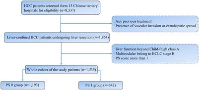 Potential candidates for liver resection in liver-confined advanced HCC: a Chinese multicenter observational study